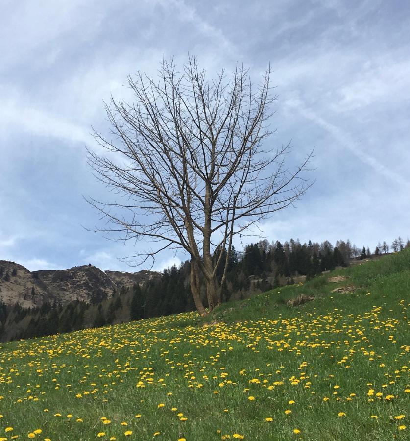B&B Gottardo Айроло Экстерьер фото