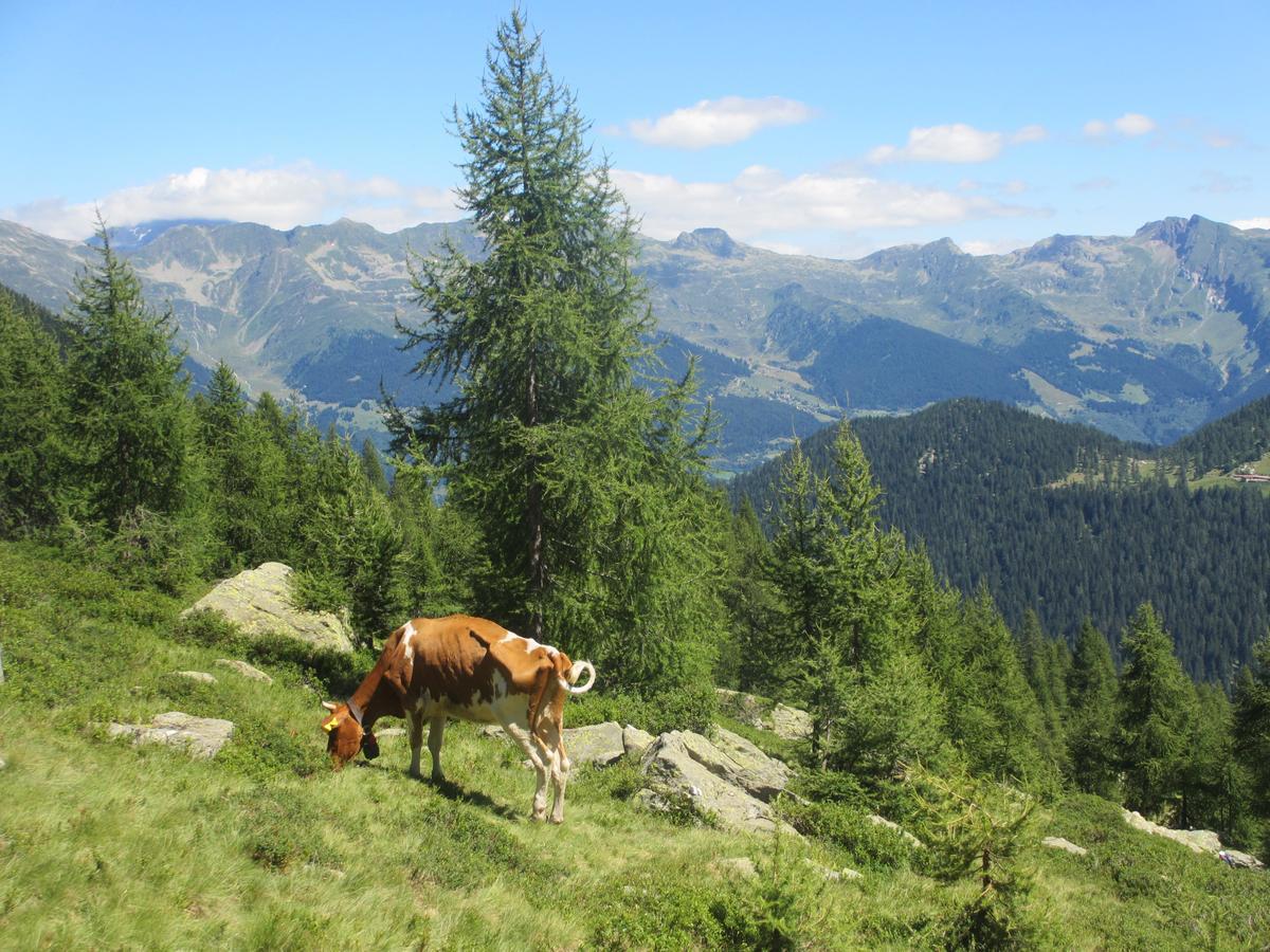 B&B Gottardo Айроло Экстерьер фото