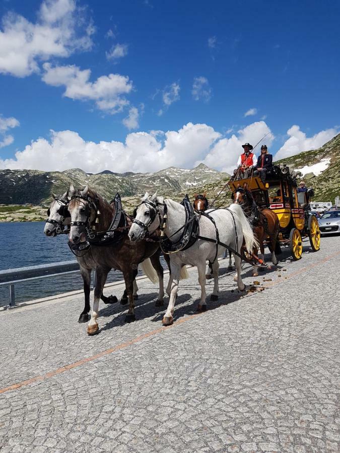 B&B Gottardo Айроло Экстерьер фото