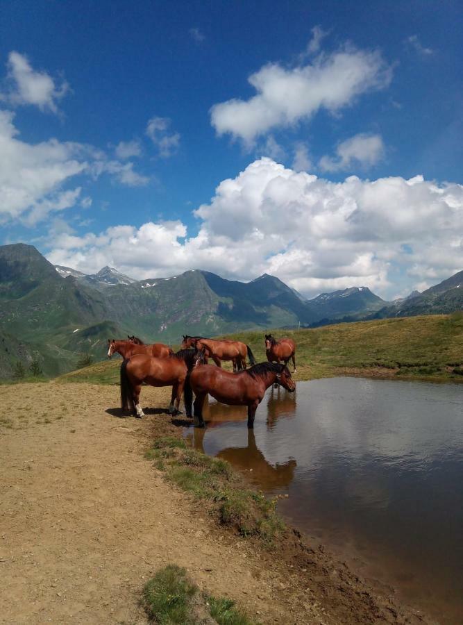 B&B Gottardo Айроло Экстерьер фото